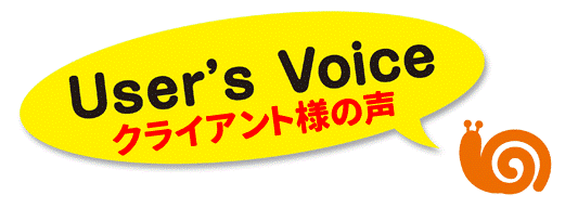 users_voice
